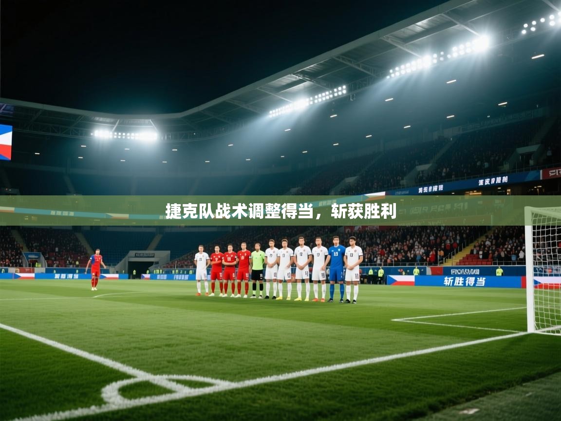 捷克队战术调整得当，斩获胜利  第1张